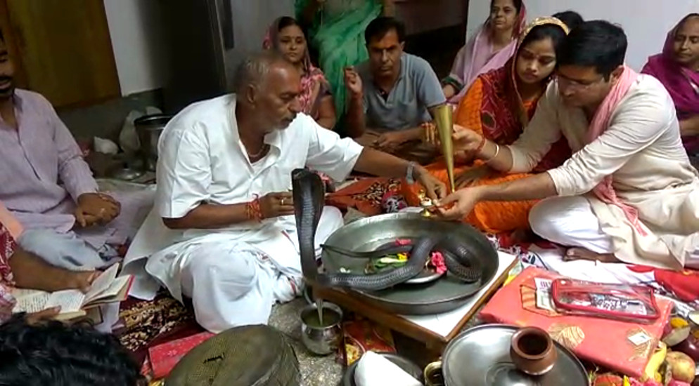 अजब-गजब: कालसर्प दोष दूर करने के लिए दंपति ने की ऐसी अनेाखी पूजा, वीडियो देख खड़े हो जाएंगे रोंगटे