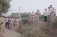 sirohi