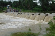 shahdol