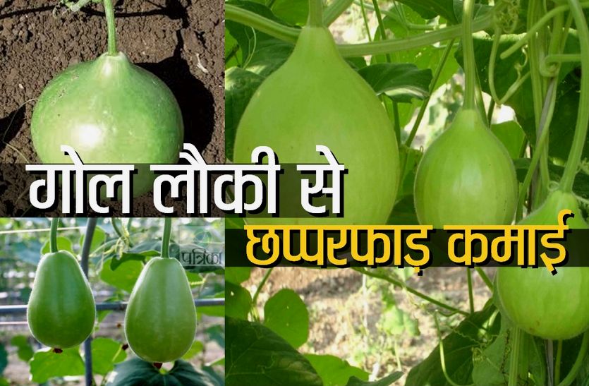 sikar kisan