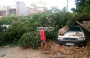Remote rain in pali