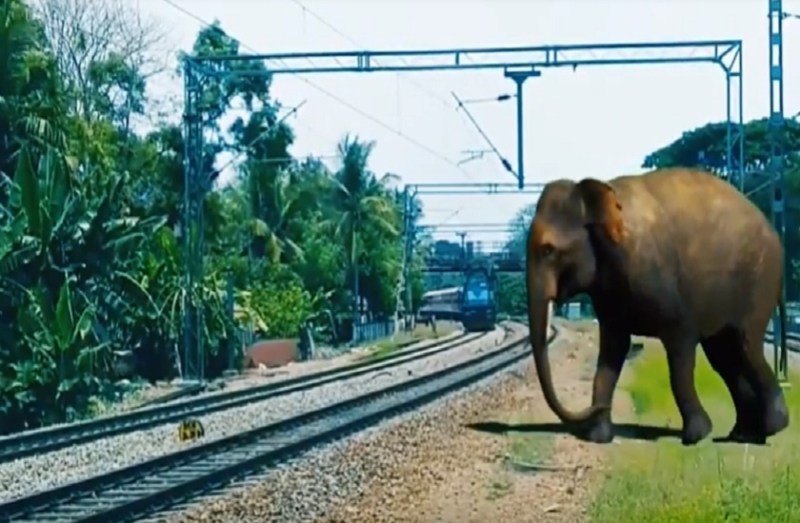 Indian Railway Plan Bee