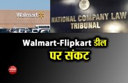 Flipkart walmart deal