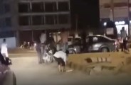 fight