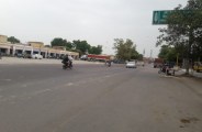 grain market