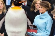 penguin