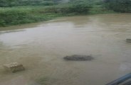 barish