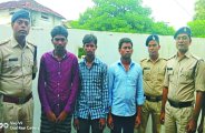 crime news