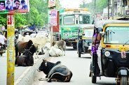 ADJ Court big judgement Against of satna nagar nigam
