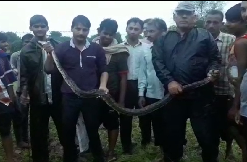 python rescue from Bhilwara