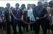 python rescue from Bhilwara