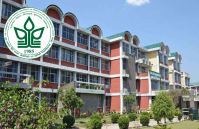 YSP University Junior research fellow