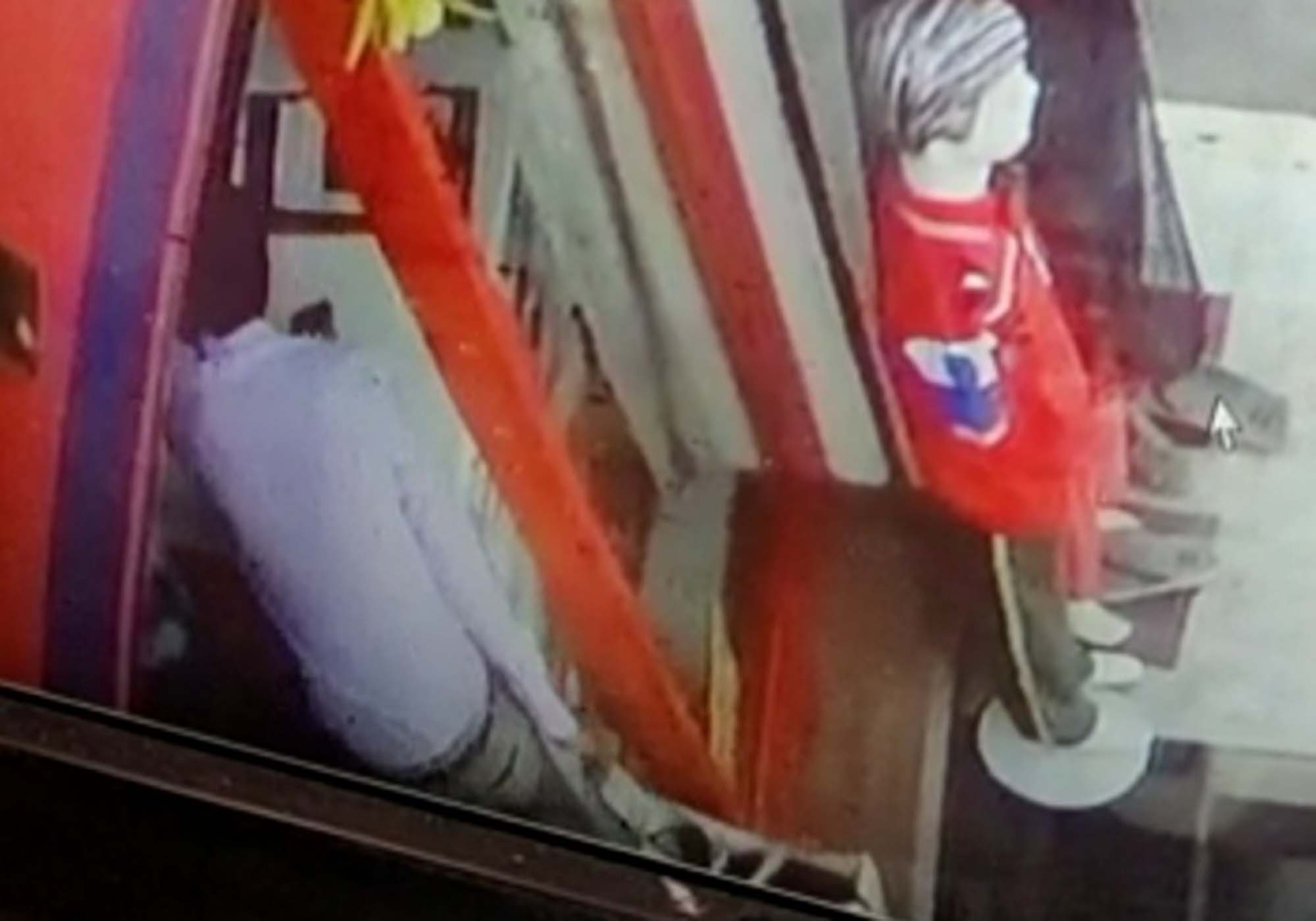 thief in phalodi