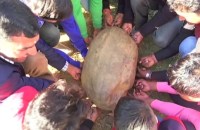 mosta devta shiv temple pithoragarh