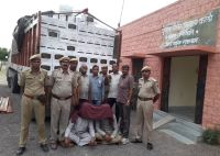 Wheat in the truck, illegal liquor worth Rs 50 lakh found in the search