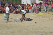 FSL and Dog Squad Team investigated
