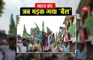 bharat bandh