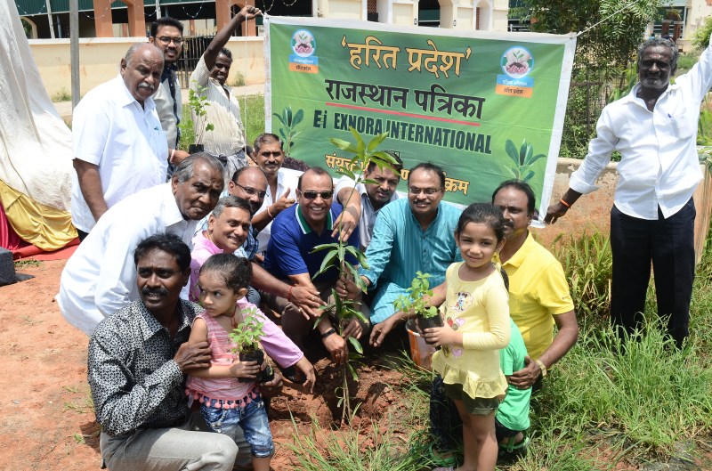 Trees,Generations,plantation,