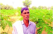 kisan news