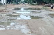 sirohi