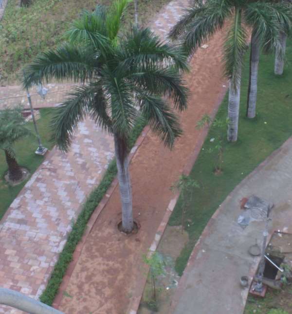 beautiful pics of subhash udhyan