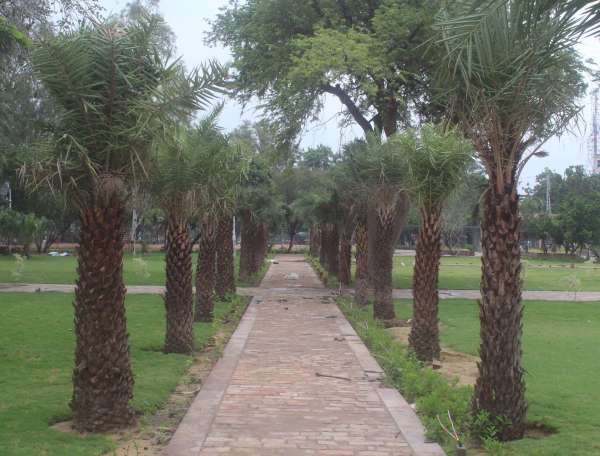 beautiful pics of subhash udhyan