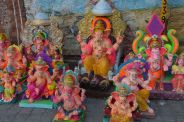Will celebrate grand Ganesh Chaturthi