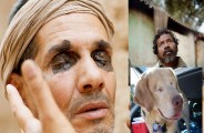 city of the blinds not only human birds and animals are also blind
