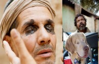 city of the blinds not only human birds and animals are also blind