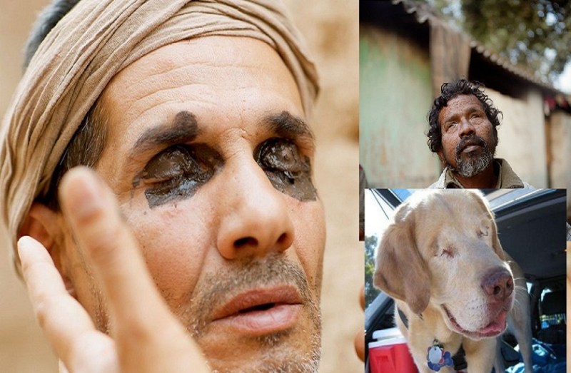 city of the blinds not only human birds and animals are also blind