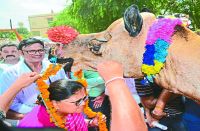 cm raje gaurav yatra 2018