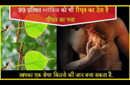 peepal ke patte ke fayde