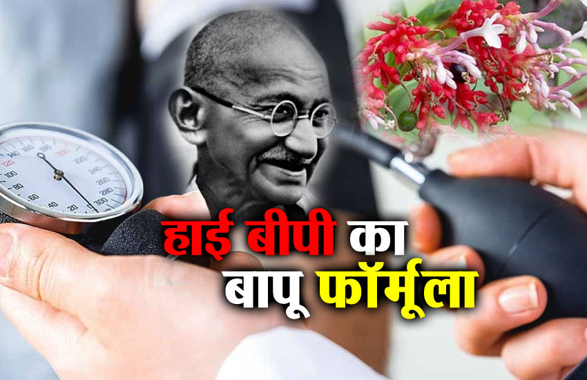 Mahatma Gandhi High Blood Pressure Treatment Formula