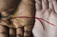 government job and money line on your palm