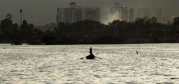 beautiful pics of birds