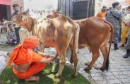 Patanjali