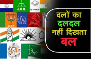 political parties