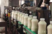 Dairy Business
