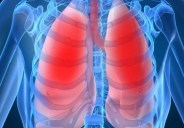 lungs