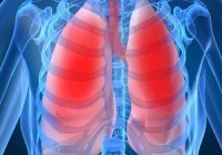 lungs