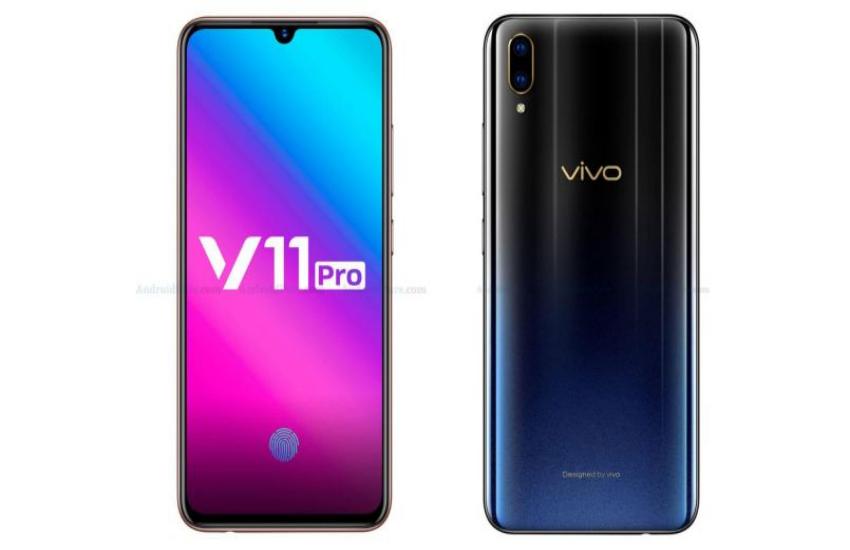 vivo