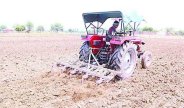 farmer