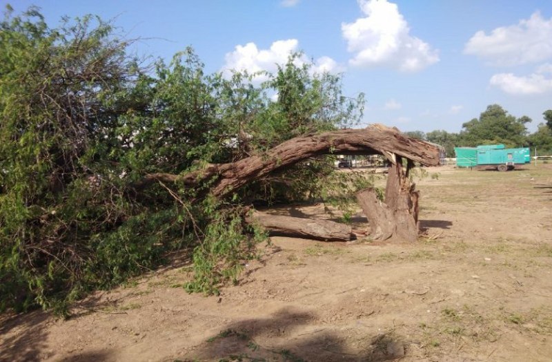 #GauravYatra #VasundhraRaje Election2018