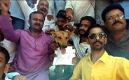 Protest against SC ST Act in satna and Madhya Pradesh
