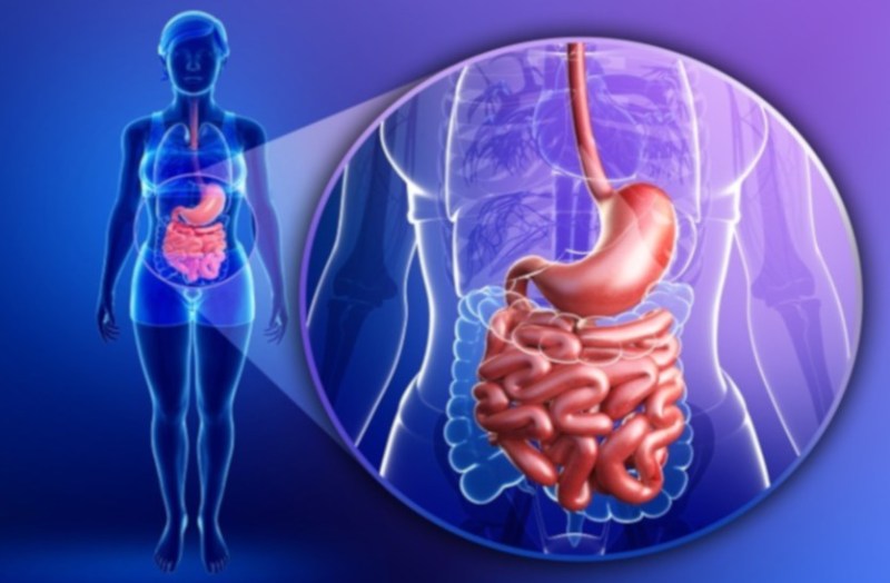 Special on World Liver Day