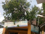 rajsamand