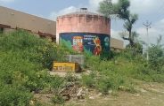sirohi