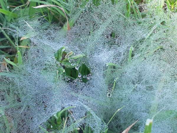 beautiful pics of nature