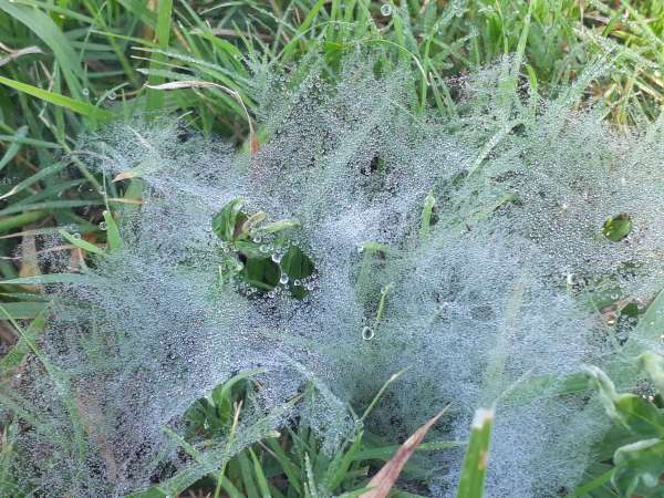 beautiful pics of nature