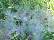 beautiful pics of nature